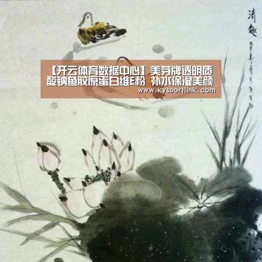 开云体育数据