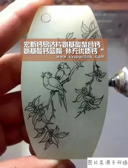 宏新钙易达片氨基酸螯合钙氨基酸钙蓝帽 补充优质钙“开云体育数据”(图2) 开云体育数据中心