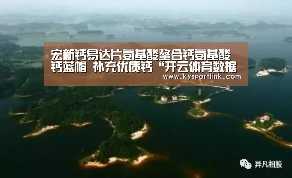 宏新钙易达片氨基酸螯合钙氨基酸钙蓝帽 补充优质钙“开云体育数据”(图1) 开云体育数据