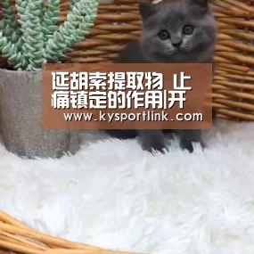 开云体育数据中心