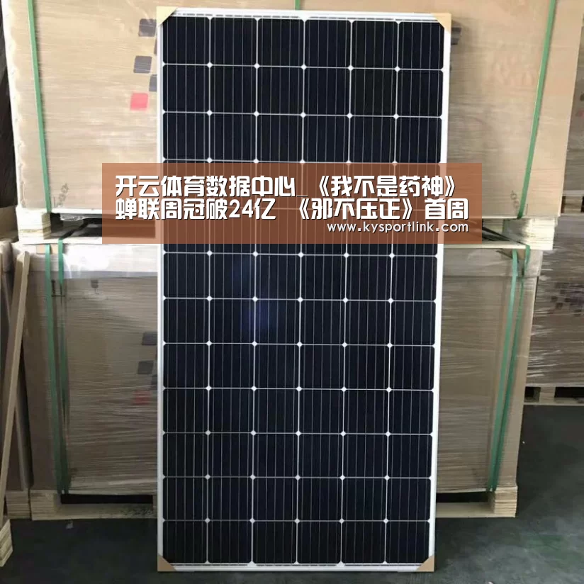 开云体育官网