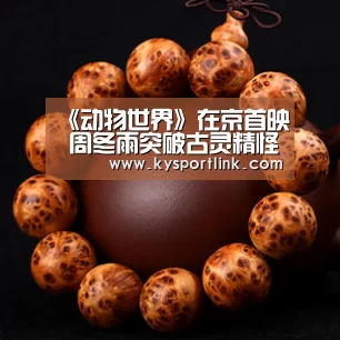 开云体育官网