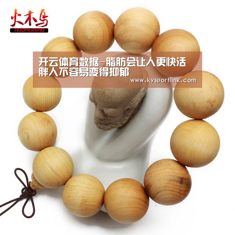 开云体育官网