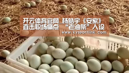 开云体育官网