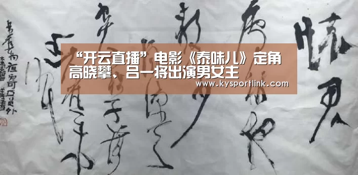 开云体育数据中心