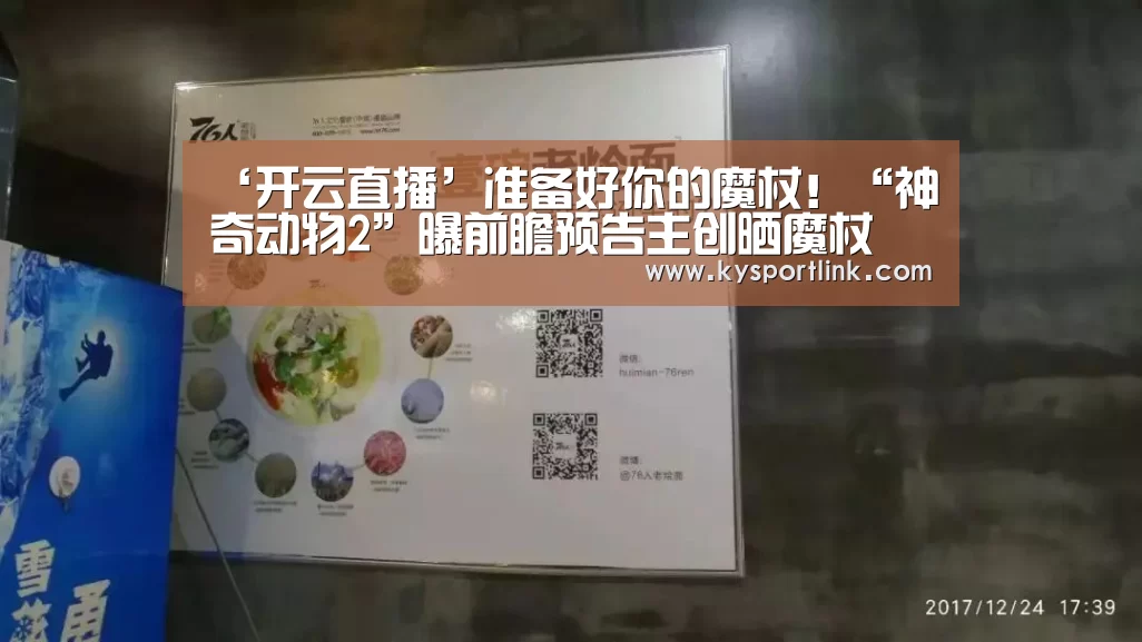 开云体育数据