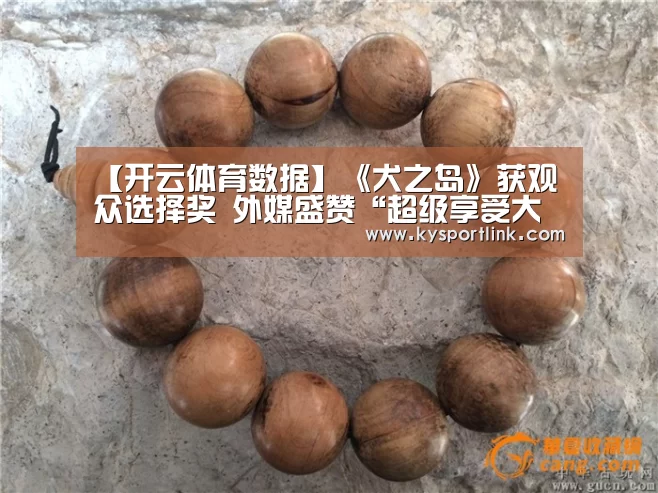 开云体育官网