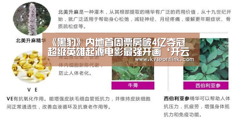 《黑豹》内地首周票房破4亿夺冠 超级英雄起源电影最强开画‘开云直播’(图1) 开云直播